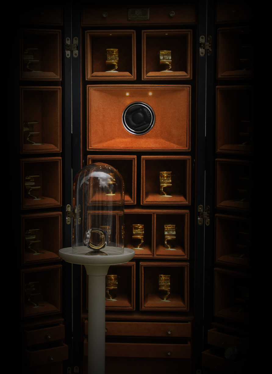 Stylish trunks designed for watches