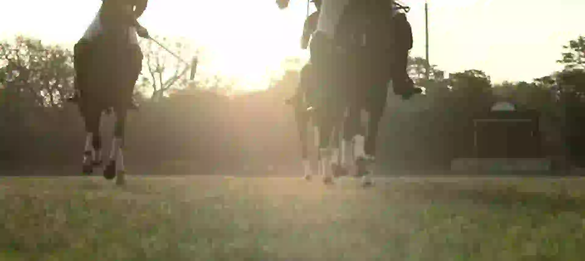 polo image