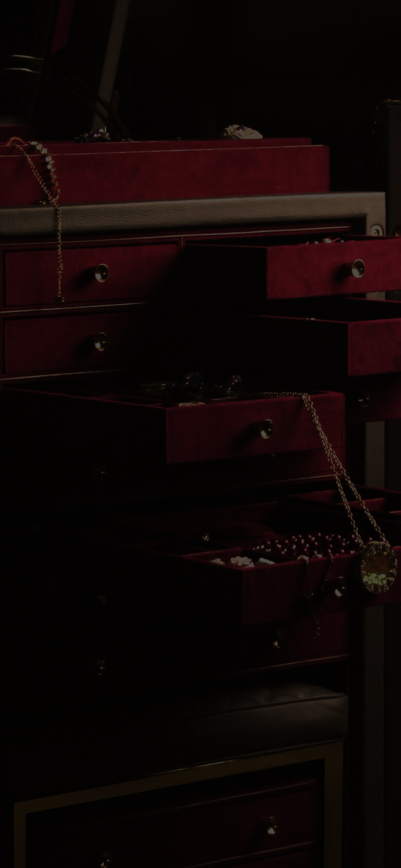 THE JEWELRY CABINET TRUNK
